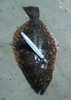 20130302_2817405.jpg