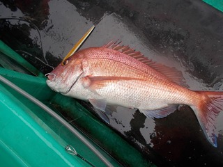 DSCN0015.jpg