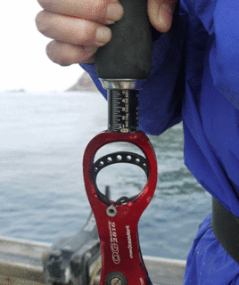 hakari-thumbnail2.gif