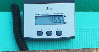 112.jpg