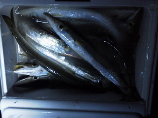 13-01-12_007.jpg