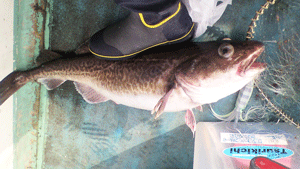20120122_2419166.gif