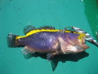 20120312_1907818.jpg