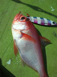 20120415_2514127.jpg