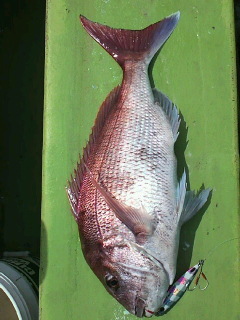 20120415_2514198.jpg