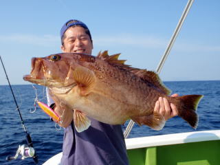 20120519houkibata1.jpg