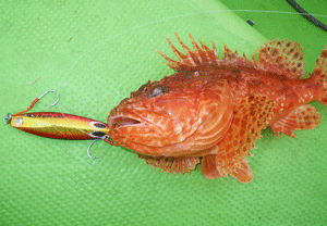 20120618_2585514.gif