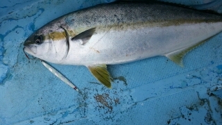 20121128_2741532.jpg