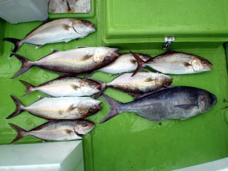2012318kanpati1.jpg