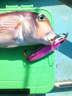 20130203_2795617.jpg