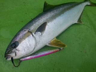 20130528_178249.jpg