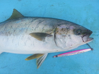 20131127_101944.jpg