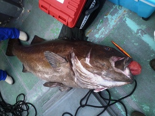 20131229_725075.jpg