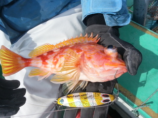 20140401_115035.jpg