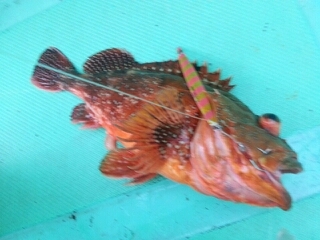 20140406_883172.jpg