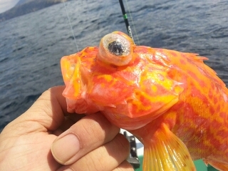 20140406_883339.jpg