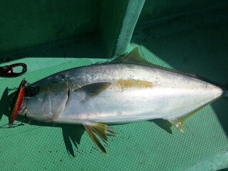 20140406_883340.jpg