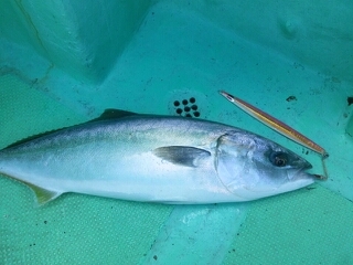 20140406_883463.jpg