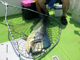 20140625_122509.jpg
