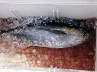 20140831_1085204.jpg