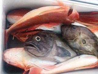 20140901_1086556.jpg