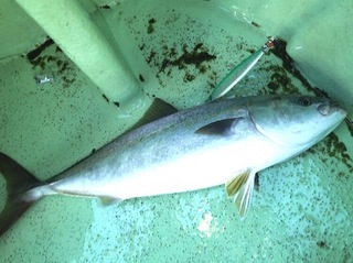 20140925_1116048.jpg