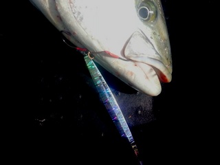 20141008_095514.jpg