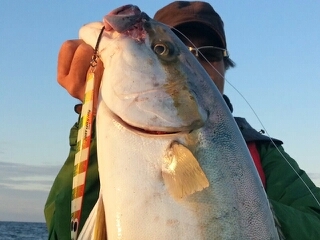 20141008_1132948.jpg