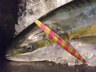 20150301_1292350.jpg