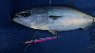 20150523_070050.jpg