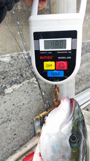20150523_114757.jpg