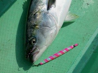 20150729_082022.jpg