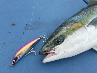 20160406_1652495.jpg