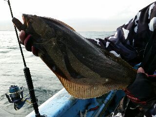 20171101_2058801.jpg