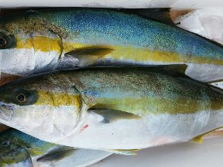 20171101_2058802.jpg