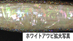 zCggʐ^.jpg