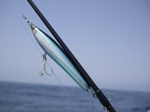 P1020465-2.JPG