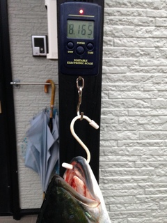 image2.jpeg