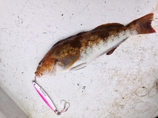 image4.jpeg