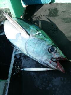 20130504_181147.jpg
